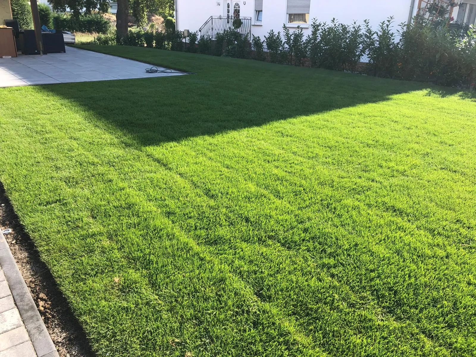 Rollrasen & Terrassenplatten