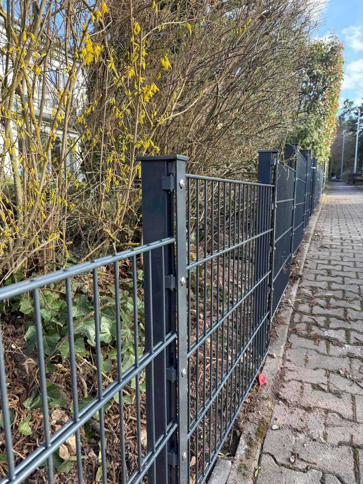 Zaunbau · Doppelstabmatten